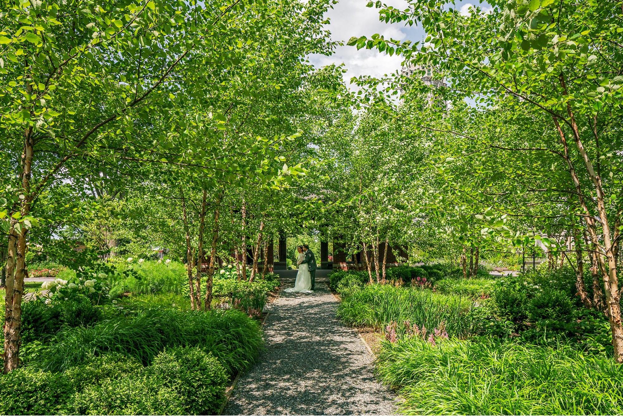 Branch Brook Park Potomac ASLA