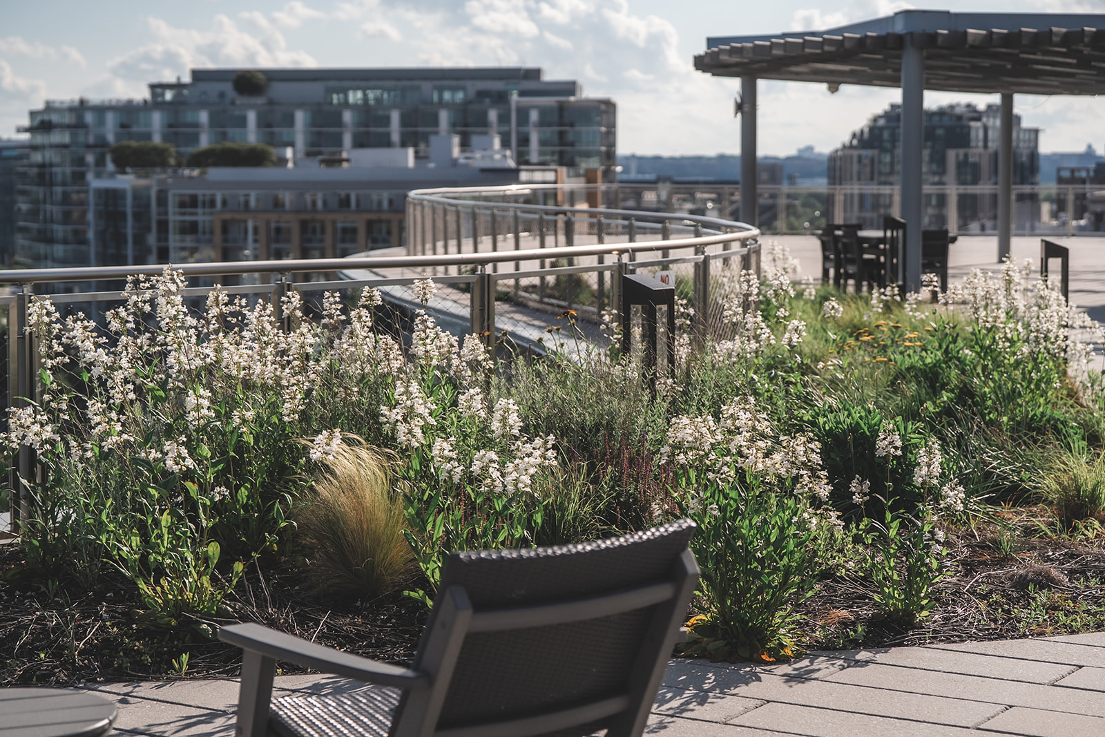 Potomac ASLA Awards Gala 2025